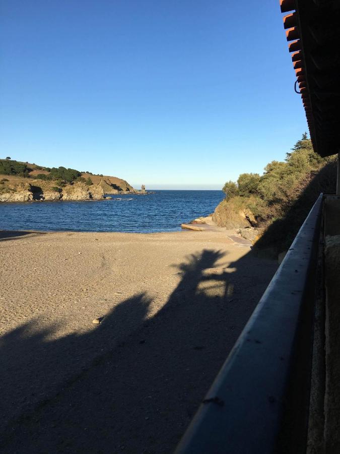 Apartamento Les Pieds Dand L'Eau Banyuls-sur-Mer Exterior foto